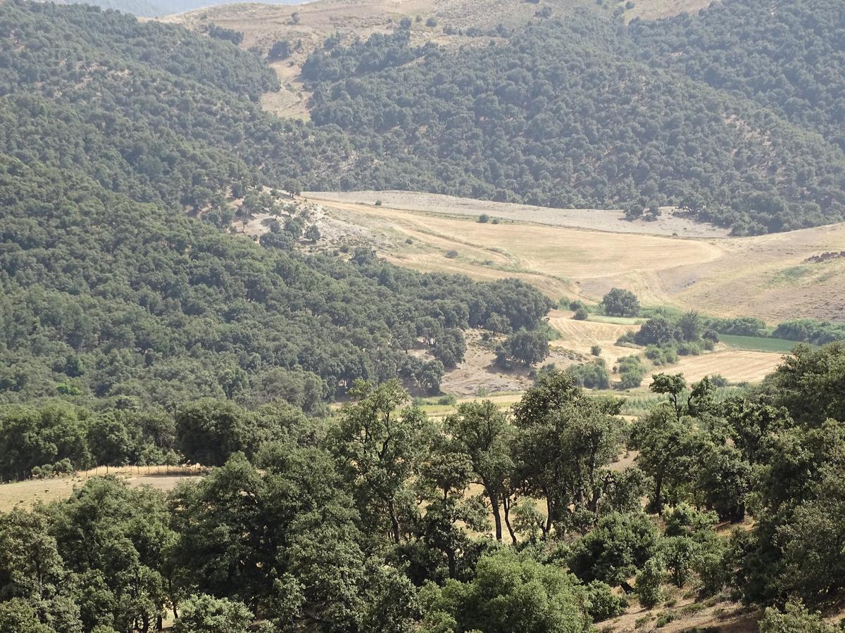 Le Gite Du Barrage Zaouia Ben Smine Kültér fotó